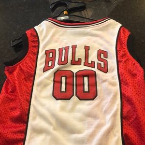 Bulls jersey for Dogs